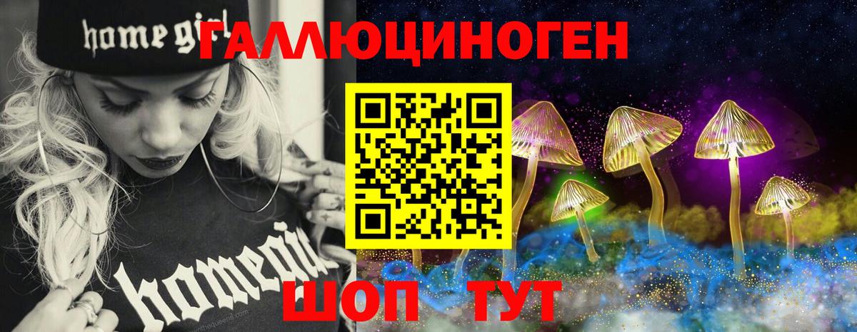 Геленджик  Псилоцибиновые грибы мицелий  Вход с VPN 